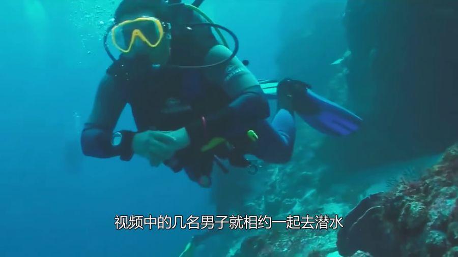牛仔和T恤